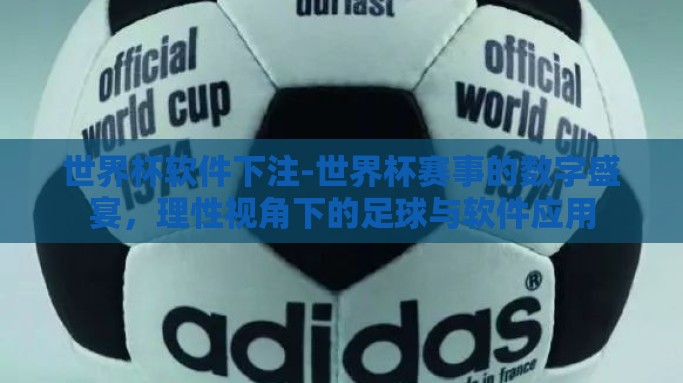 世界杯软件下注-世界杯赛事的数字盛宴，理性视角下的足球与软件应用