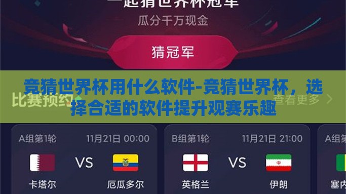 竞猜世界杯用什么软件-竞猜世界杯，选择合适的软件提升观赛乐趣