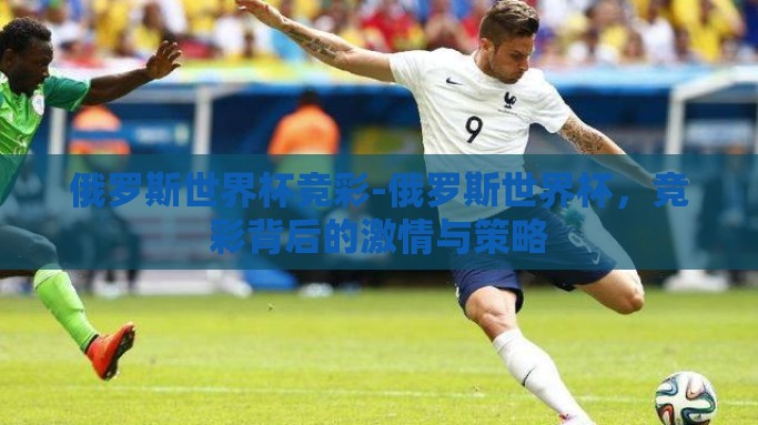 俄罗斯世界杯竞彩-俄罗斯世界杯，竞彩背后的激情与策略