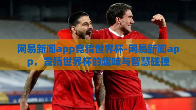 网易新闻app竞猜世界杯-网易新闻app，竞猜世界杯的趣味与智慧碰撞
