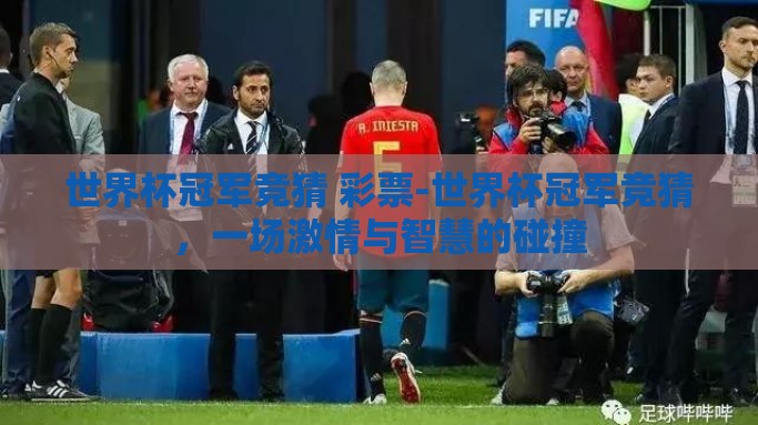 世界杯冠军竞猜 彩票-世界杯冠军竞猜，一场激情与智慧的碰撞