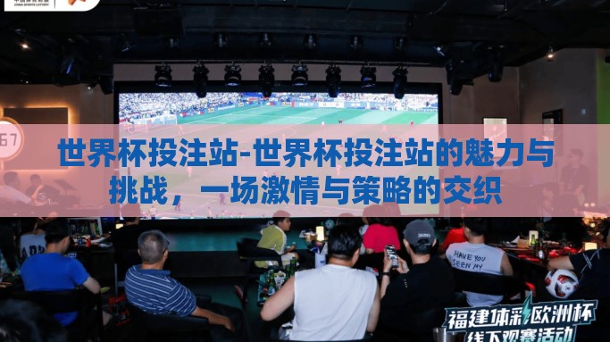 世界杯投注站-世界杯投注站的魅力与挑战，一场激情与策略的交织