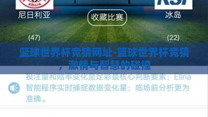 篮球世界杯竞猜网址-篮球世界杯竞猜，激情与智慧的碰撞