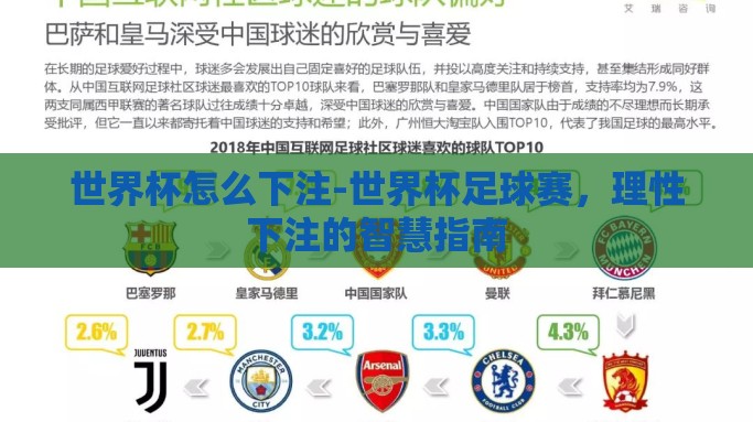 世界杯怎么下注-世界杯足球赛，理性下注的智慧指南
