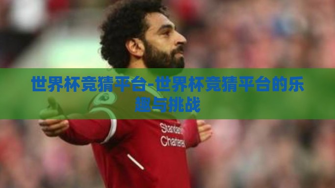 世界杯竞猜平台-世界杯竞猜平台的乐趣与挑战