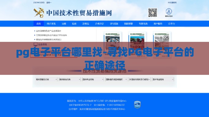 pg电子平台哪里找-寻找PG电子平台的正确途径