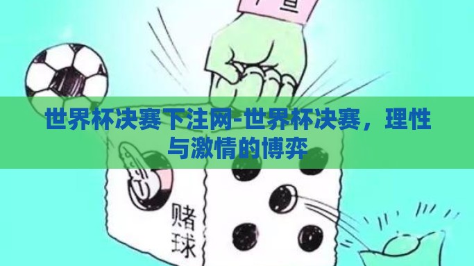 世界杯决赛下注网-世界杯决赛，理性与激情的博弈