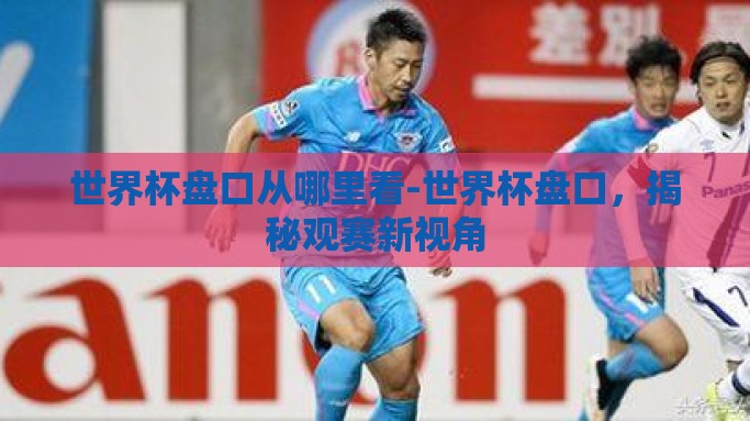 世界杯盘口从哪里看-世界杯盘口，揭秘观赛新视角
