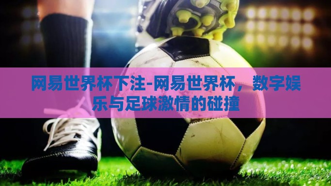 网易世界杯下注-网易世界杯，数字娱乐与足球激情的碰撞