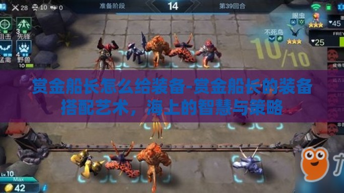 赏金船长怎么给装备-赏金船长的装备搭配艺术，海上的智慧与策略