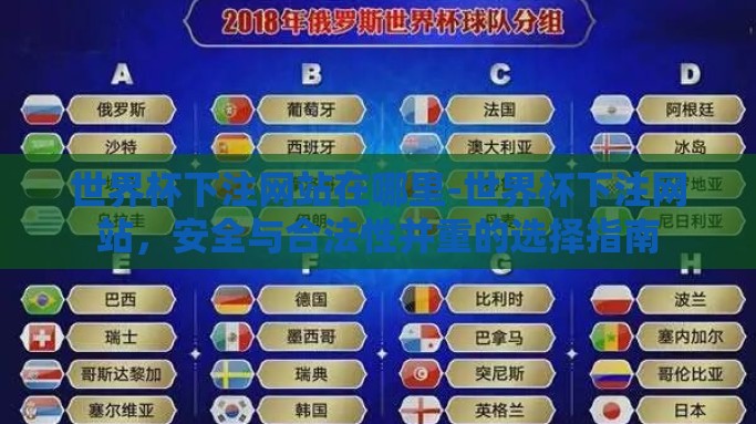 世界杯下注网站在哪里-世界杯下注网站，安全与合法性并重的选择指南