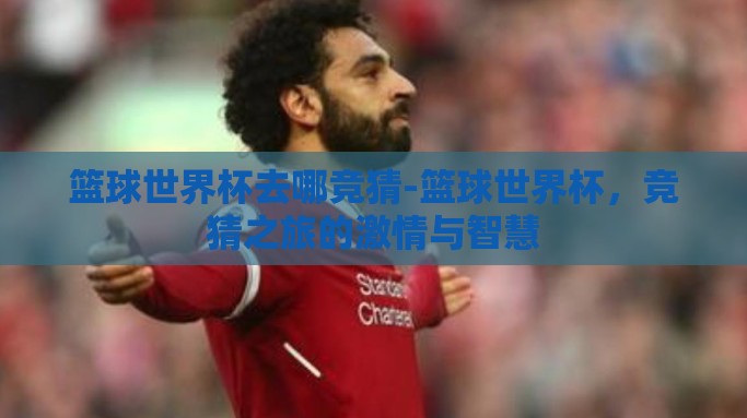 篮球世界杯去哪竞猜-篮球世界杯，竞猜之旅的激情与智慧