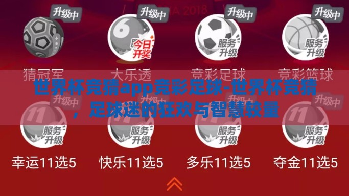 世界杯竞猜app竞彩足球-世界杯竞猜，足球迷的狂欢与智慧较量