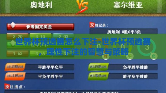 世界杯预选赛怎么下注-世界杯预选赛，理性下注的智慧与策略