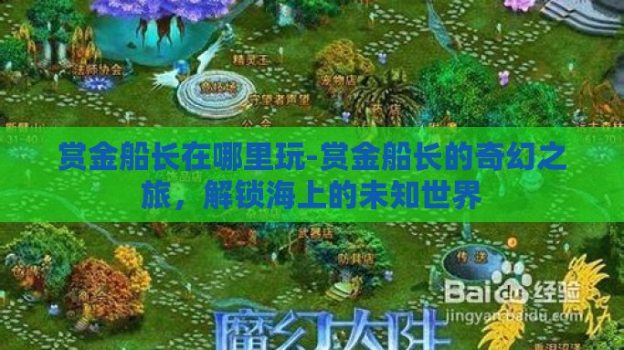 赏金船长在哪里玩-赏金船长的奇幻之旅，解锁海上的未知世界