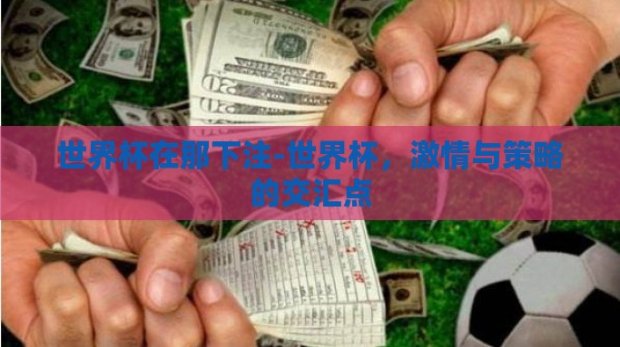 世界杯在那下注-世界杯，激情与策略的交汇点