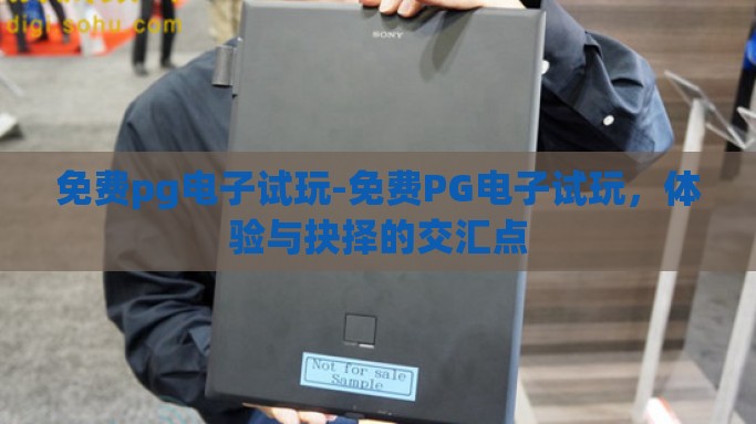 免费pg电子试玩-免费PG电子试玩，体验与抉择的交汇点