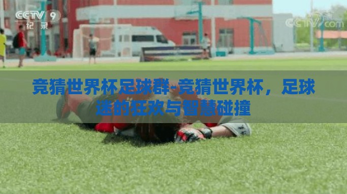 竞猜世界杯足球群-竞猜世界杯，足球迷的狂欢与智慧碰撞