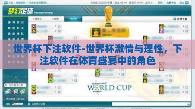 世界杯下注软件-世界杯激情与理性，下注软件在体育盛宴中的角色