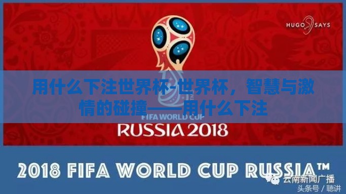用什么下注世界杯-世界杯，智慧与激情的碰撞——用什么下注