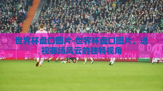 世界杯盘口图片-世界杯盘口图片，透视赛场风云的独特视角