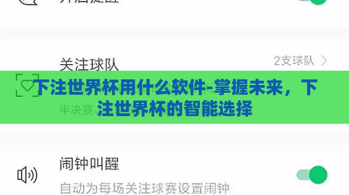 下注世界杯用什么软件-掌握未来，下注世界杯的智能选择