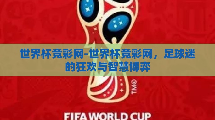 世界杯竞彩网-世界杯竞彩网，足球迷的狂欢与智慧博弈