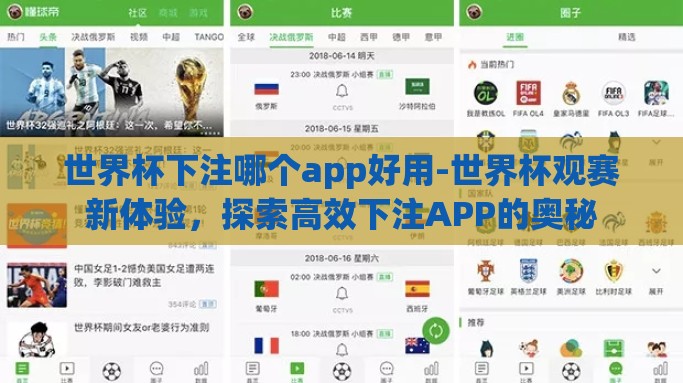 世界杯下注哪个app好用-世界杯观赛新体验，探索高效下注APP的奥秘
