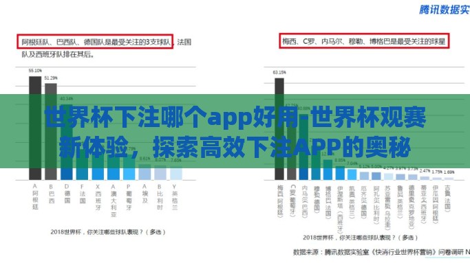 世界杯下注哪个app好用-世界杯观赛新体验，探索高效下注APP的奥秘