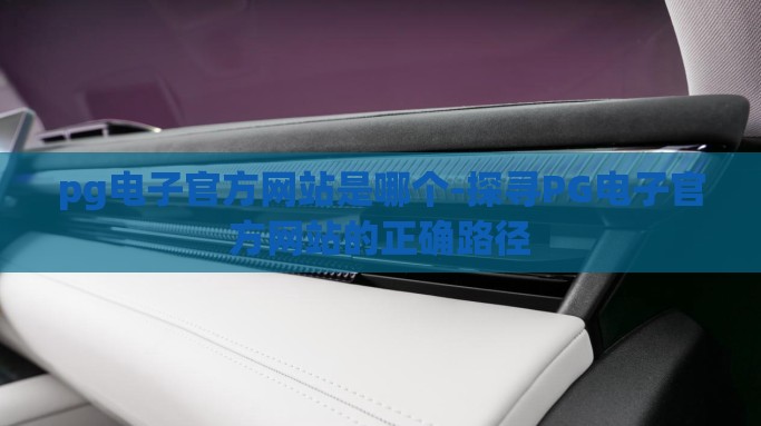 pg电子官方网站是哪个-探寻PG电子官方网站的正确路径
