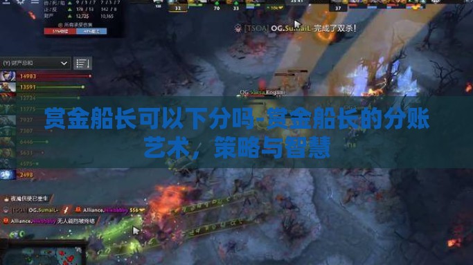 赏金船长可以下分吗-赏金船长的分账艺术，策略与智慧