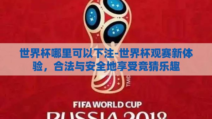 世界杯哪里可以下注-世界杯观赛新体验，合法与安全地享受竞猜乐趣