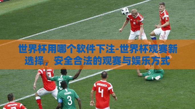世界杯用哪个软件下注-世界杯观赛新选择，安全合法的观赛与娱乐方式