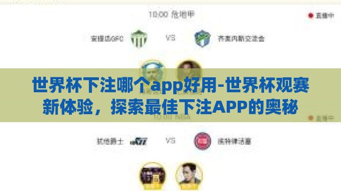 世界杯下注哪个app好用-世界杯观赛新体验，探索最佳下注APP的奥秘