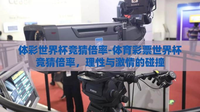 体彩世界杯竞猜倍率-体育彩票世界杯竞猜倍率，理性与激情的碰撞