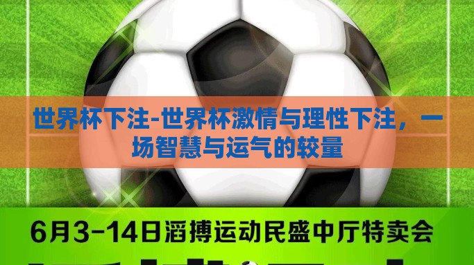 世界杯下注-世界杯激情与理性下注，一场智慧与运气的较量