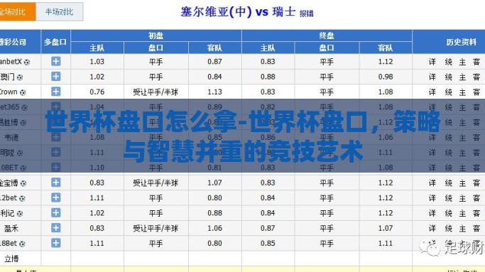 世界杯盘口怎么拿-世界杯盘口，策略与智慧并重的竞技艺术