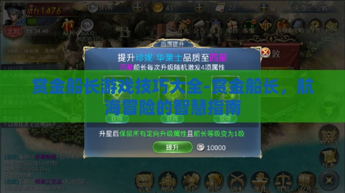 赏金船长游戏技巧大全-赏金船长，航海冒险的智慧指南